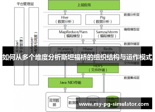 如何从多个维度分析斯坦福桥的组织结构与运作模式
